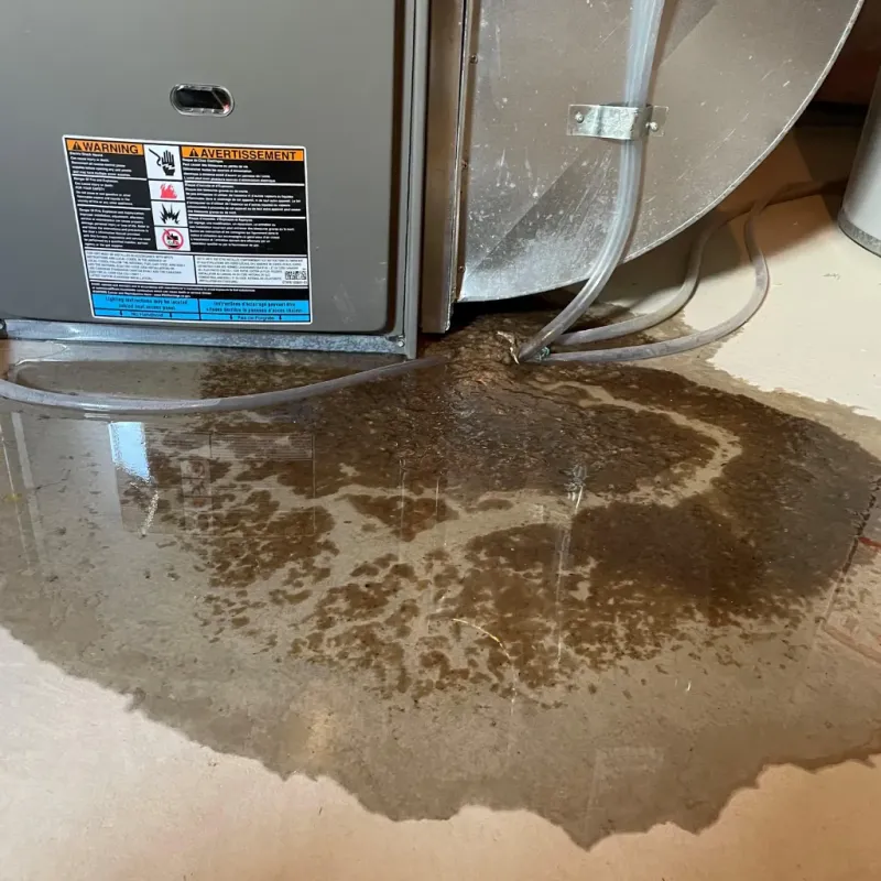 Appliance Leak Cleanup in Wilsonville, AL